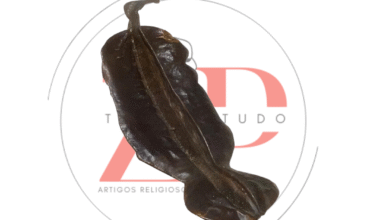 Fava de Aridan