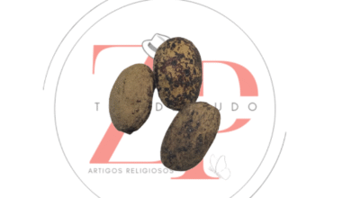 Fava Ariô