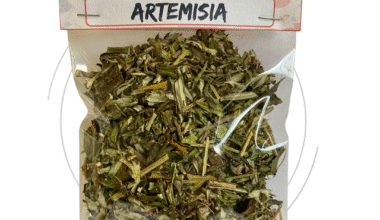 Erva Para Banho Artemísia