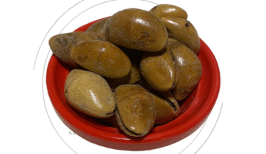 Fava Chapéu de Napoleão