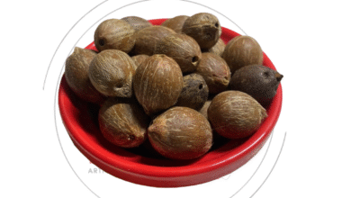 Coquinho