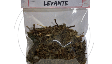 Erva Para Banho Levante