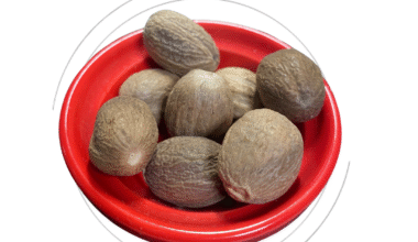 Noz Moscada em Grãos