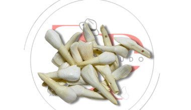 Pingente Dente Para Guia