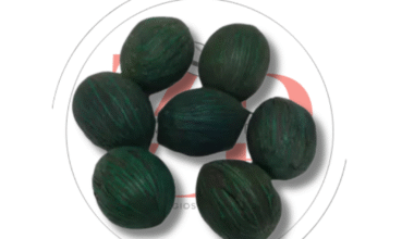 Favas da Prosperidade