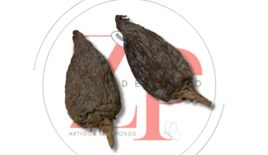 Fava de Ataré